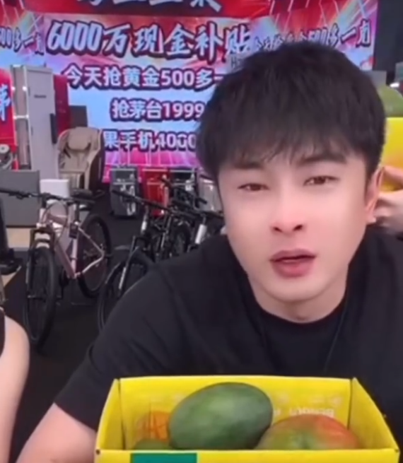 辛巴哇哇哭,这是最后几场直播!被倪海杉起诉:二子爷败诉赔钱(图3) 辛巴哇哇哭,这是最后几场直播!被倪海杉起诉:二子爷败诉赔钱(图3)