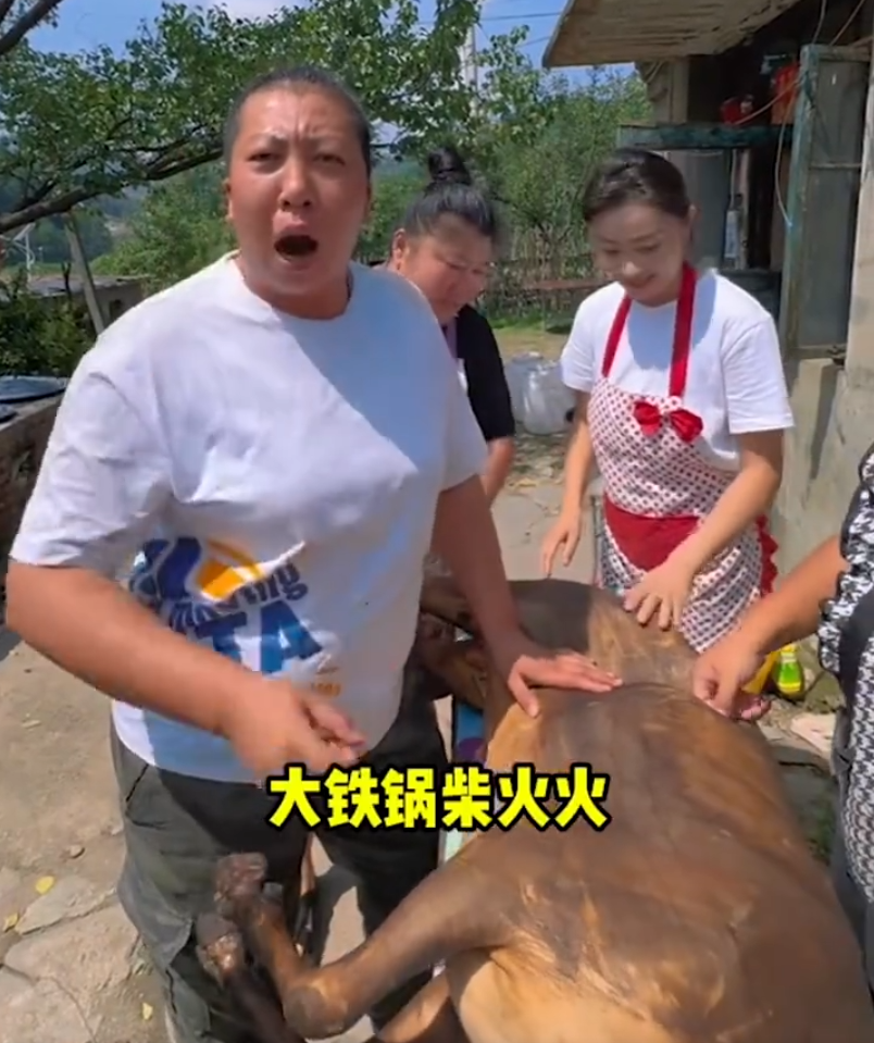 “翻车”网红东北雨姐账号被禁言?YY女主播小小呵爆瓜伪神豪(图1) “翻车”网红东北雨姐账号被禁言?YY女主播小小呵爆瓜伪神豪(图1)