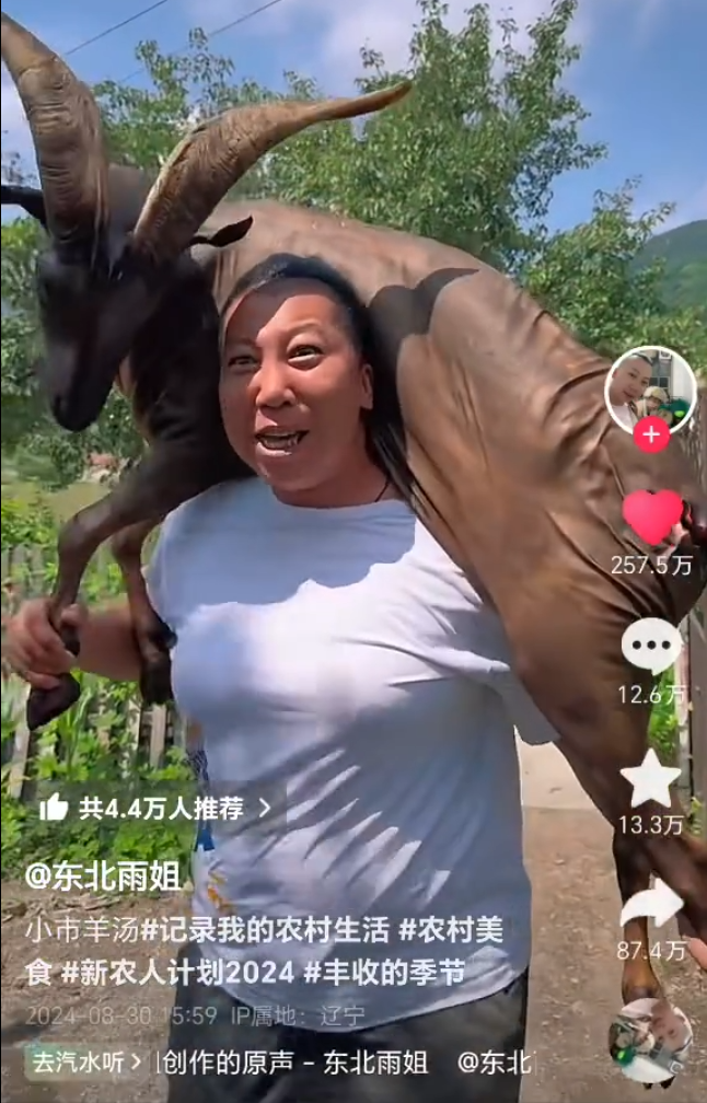 “翻车”网红东北雨姐账号被禁言?YY女主播小小呵爆瓜伪神豪(图2) “翻车”网红东北雨姐账号被禁言?YY女主播小小呵爆瓜伪神豪(图2)
