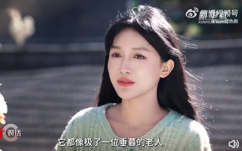 牌牌琦谈公司对账，艺人几十块都要公司出！李子柒断更三年做了什么？(图4)
