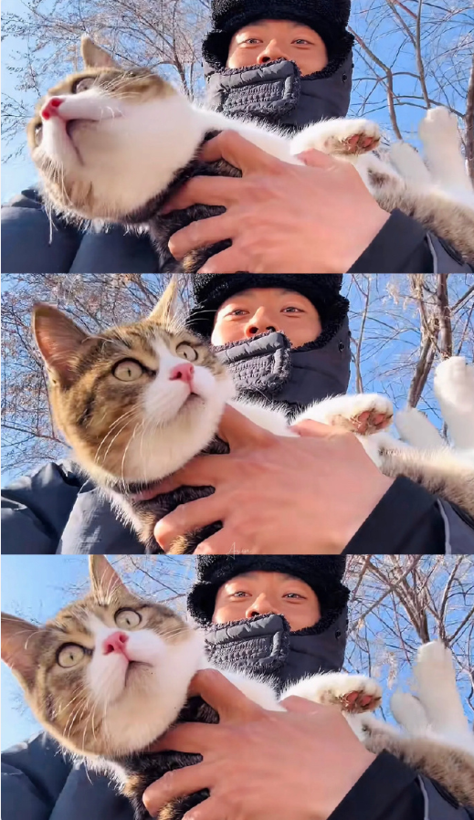 网红小猫悟空主人已谅解车主,牌牌琦被小伊伊嫌老?沉迷80年代老歌(图2) 网红小猫悟空主人已谅解车主,牌牌琦被小伊伊嫌老?沉迷80年代老歌(图2)