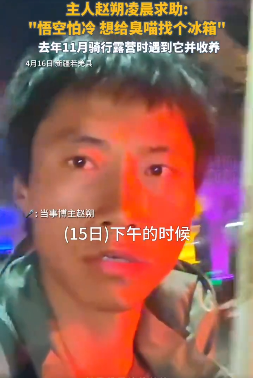 网红小猫悟空主人已谅解车主,牌牌琦被小伊伊嫌老?沉迷80年代老歌(图4) 网红小猫悟空主人已谅解车主,牌牌琦被小伊伊嫌老?沉迷80年代老歌(图4)