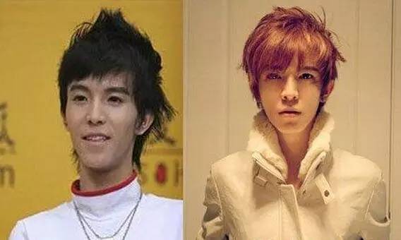 打死也不承认！那些娱乐圈整容到面瘫的男星(图6)
