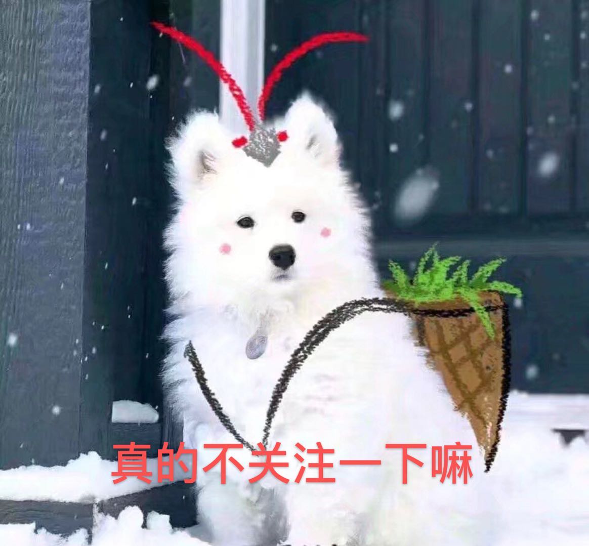 邓伦李沁无名指戴戒指，曾换过情侣头像，是炒作还是恋爱？(图14)