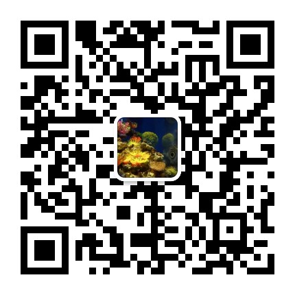 抖音商家入驻需要钱吗,抖音商家如何入驻(图1) 抖音商家入驻需要钱吗,抖音商家如何入驻(图1)